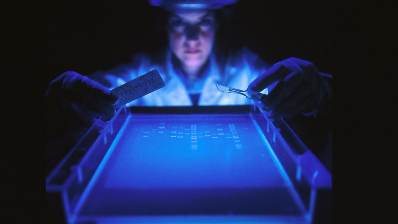 A researcher examines samples under blue light