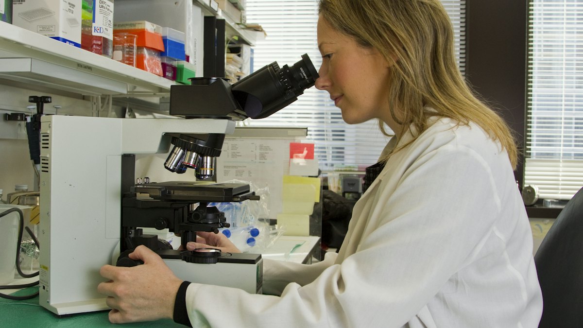 A scientist looks through a microscope in a laboratory