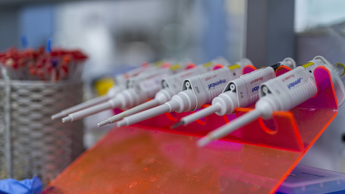 Laboratory pipettes ready for research