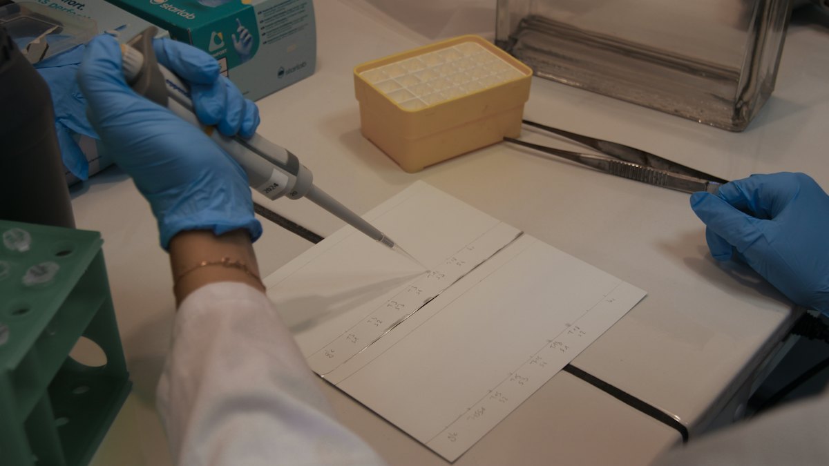 A technician uses a micropipette in a laboratory